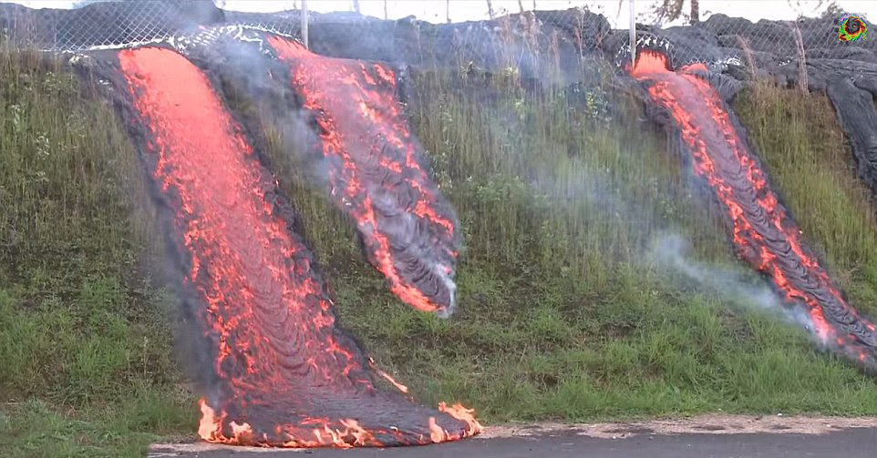 夏威夷火山喷发 三股熔岩沿草坡流下融为一体