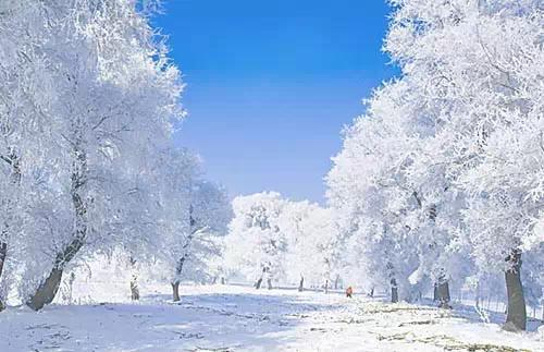 12个最适合冬季旅游的目的地 阳光雪景各取所