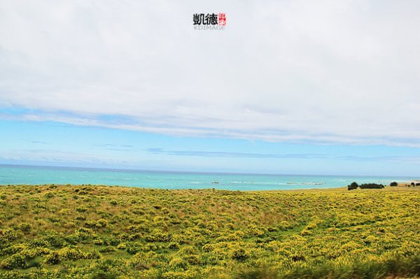 【惠灵顿】连接南北岛的新西兰首都