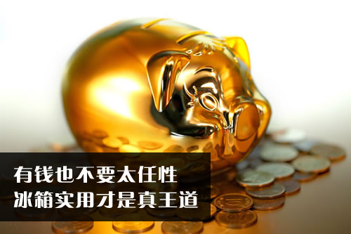 有钱也不要太任性 冰箱实用才是真王道