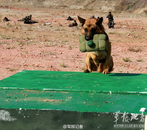 【组图】特种部队"特殊战士"很暴力 口叼炸药包炸碉堡
