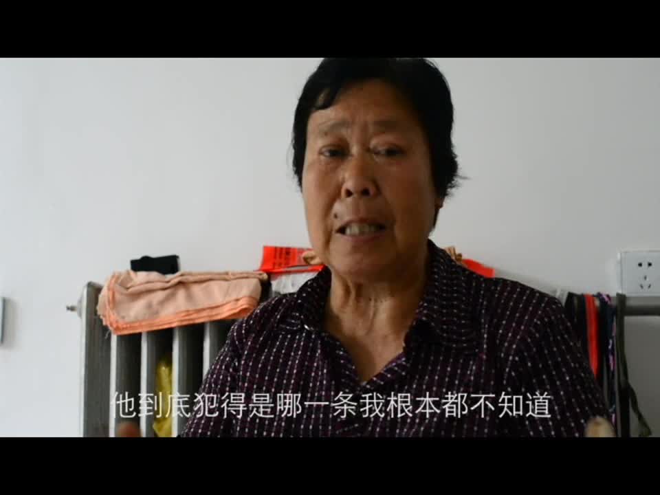 聂树斌母亲口述儿子死刑前后 - 搜狐视频