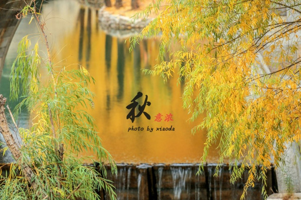 秋意盎然