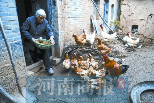 麦秸坪人口_麦秸坪