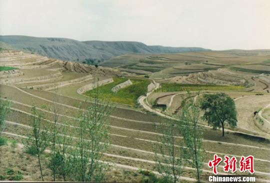 甘肃庆阳环县十年九旱绿植梯田促生态嬗变(