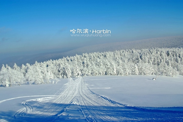 【圣诞节去哪儿】哈尔滨雪乡5天4夜冰天雪地