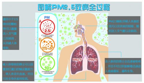 雾霾处理 雾霾主要成分