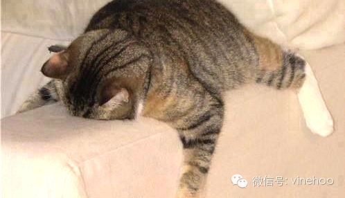 过年期间你有没有遇见过喝断片的朋友?有哪些经历可以