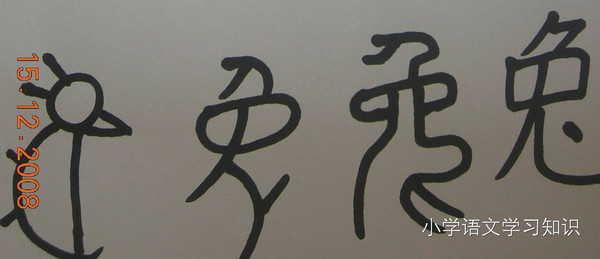 方法指导\/利用甲骨文指导孩子认识汉字的意义