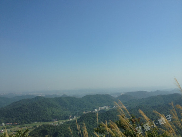 庐山县有多少人口_暴雨来袭,九江县最新路况播报 截止7月2日9时(2)