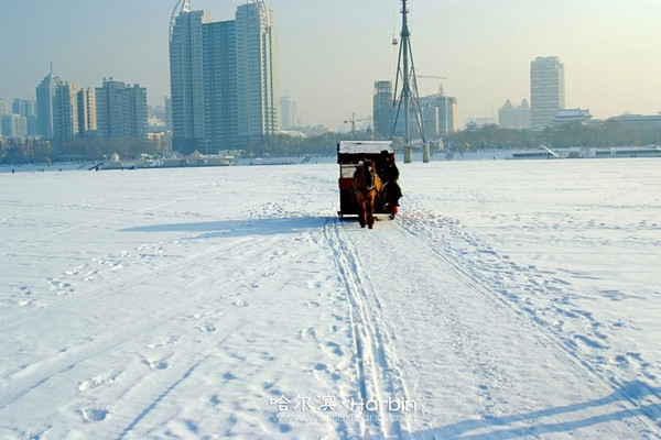 【圣诞节去哪儿】哈尔滨雪乡5天4夜冰天雪地