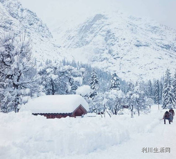 利川齐岳山雪景美若童话世界!