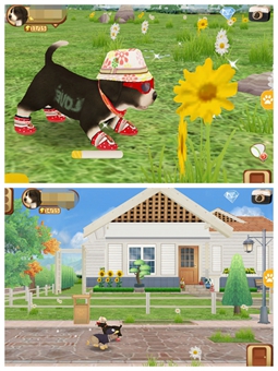ĶСر罻APP