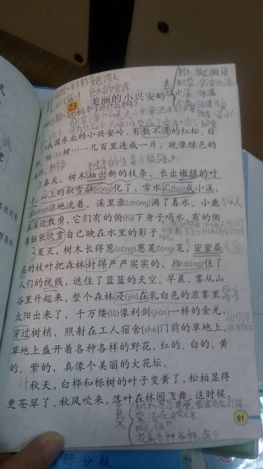 人教版二年级数学下册教案表格式_小学二年级语文下册表格式教案_人教版小学语文三年级下册表格式教案