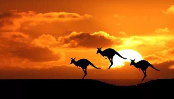 澳洲打工度假签证有哪两种?区别有哪些?