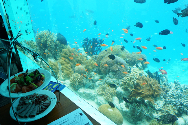 马尔代夫最大的海底餐厅
