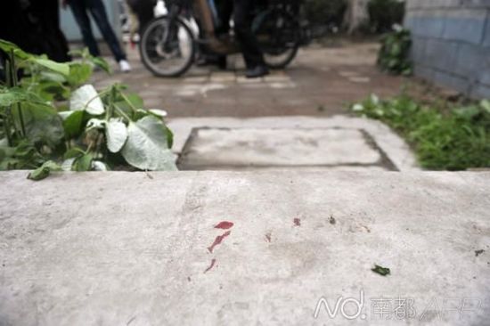 己残女性与缓急察对峙的中剩少血印。 南邑记者 梁炜培 摄