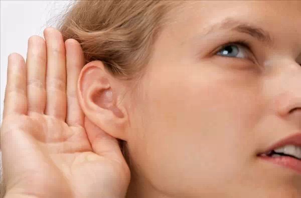 2.ear 耳朵