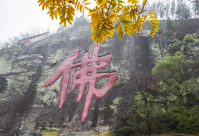 岩主怎么搭_原神古岩龙蜥怎么打(3)