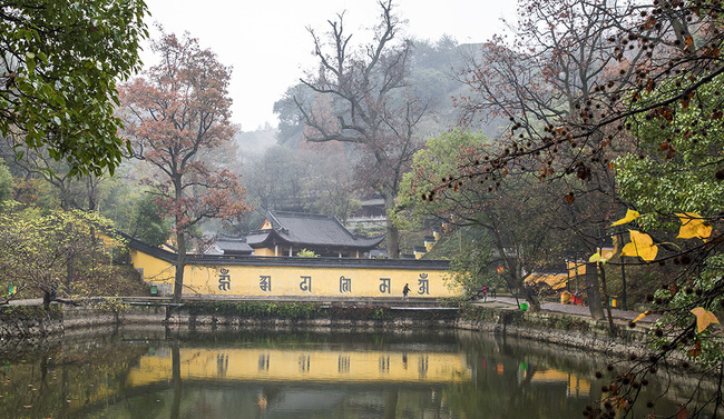 岩主怎么搭_原神古岩龙蜥怎么打