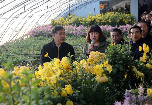 12月29日，国务院副总理汪洋在北京市考察现代农业建设工作。这是汪洋考察北京平谷区花卉蔬菜生产基地。新华社记者 刘卫兵 摄