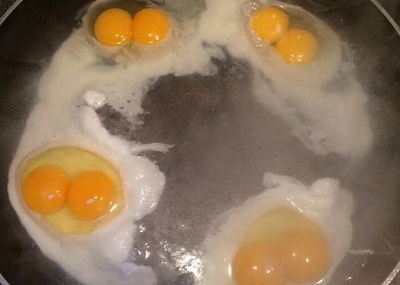 菲达拉买了半打鸡蛋，并已吃掉其中2只。她日前准备煎荷包蛋做早餐，当她打开其余的鸡蛋时，竟发现全部的4只鸡蛋都有两个蛋黄。