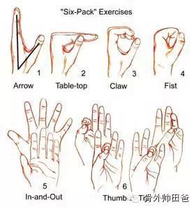 术后4-6周可开始 腕关节主动屈伸活动及 前臂旋前,旋后练习.