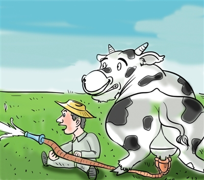 奶价狂跌河北奶农每日倒奶 养猪户买鲜奶喂猪