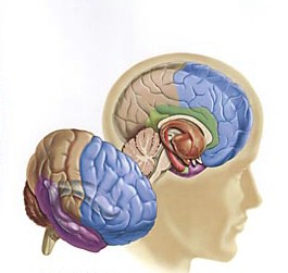脑垂体腺瘤会有什么表现?