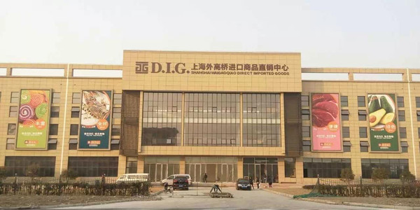 实地采访全上海最大自贸区进口商品直销中心