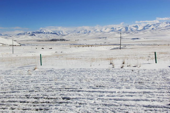 青海冬季的雪景究竟有多美【组图】