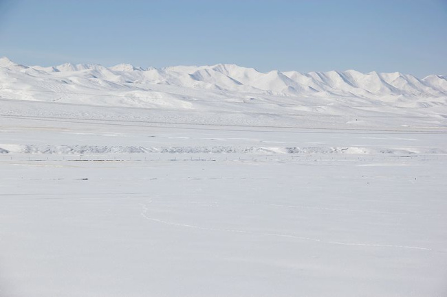 青海冬季的雪景究竟有多美组图