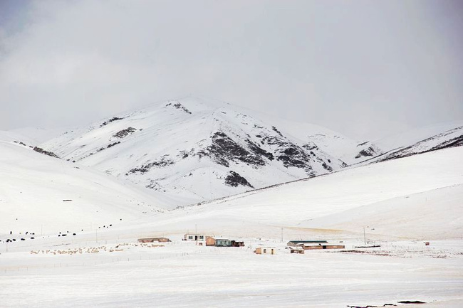 青海冬季的雪景究竟有多美组图