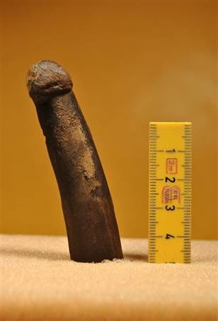 原始人也疯狂!2.8万年前石制阴茎惹眼(图)