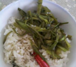 看看我的青菜白饭餐
