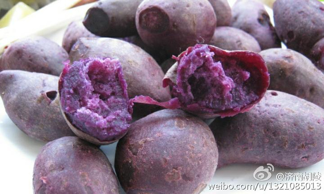 紫薯是转基因食物吗?