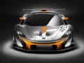 [³]޽ P1 GTR