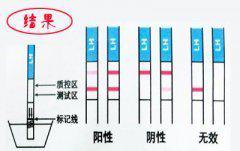 是否怀孕验孕棒两道杠深深浅浅难判定