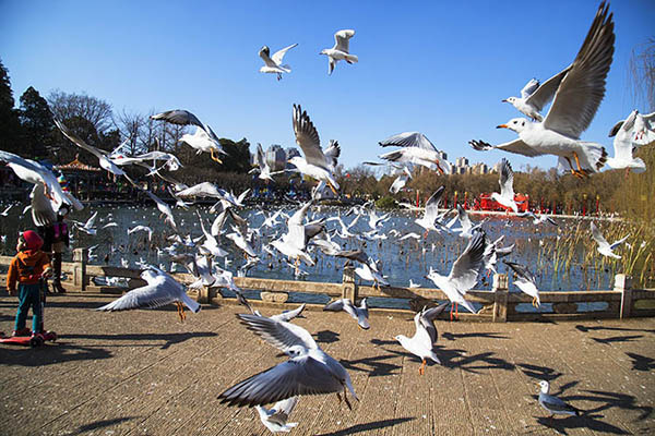 【搜狐旅游-滇行户外】丽江-香格里拉-大理五日
