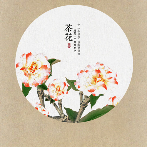 小黄人阿卡贝拉谱子-搜狐新闻App订阅:小世界艺术花园 小世界艺术花店发布十二月花谱