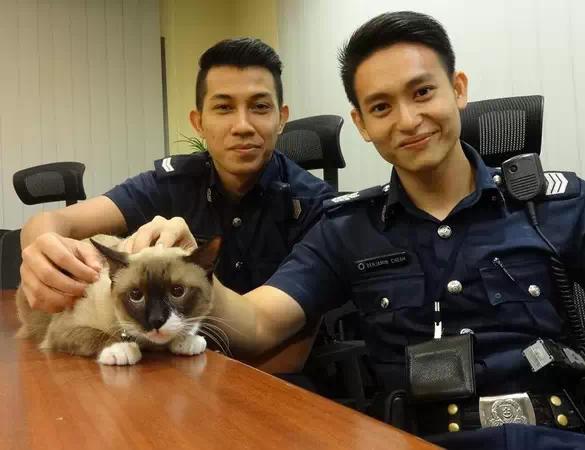 新加坡有只猫被警察所救，但是猫已经不重要了!