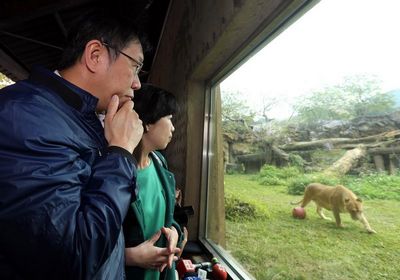 台北市长柯文哲（左）与妻子陈佩琪（右）1月25日到台北市立动物园参访，柯文哲是狮子座，参访首站就到非洲狮子区。 来源 台湾“中央社”