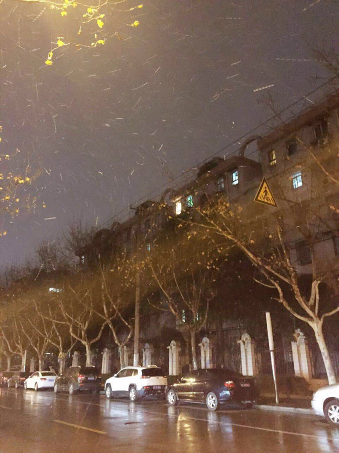上海下雪啦!(组图)