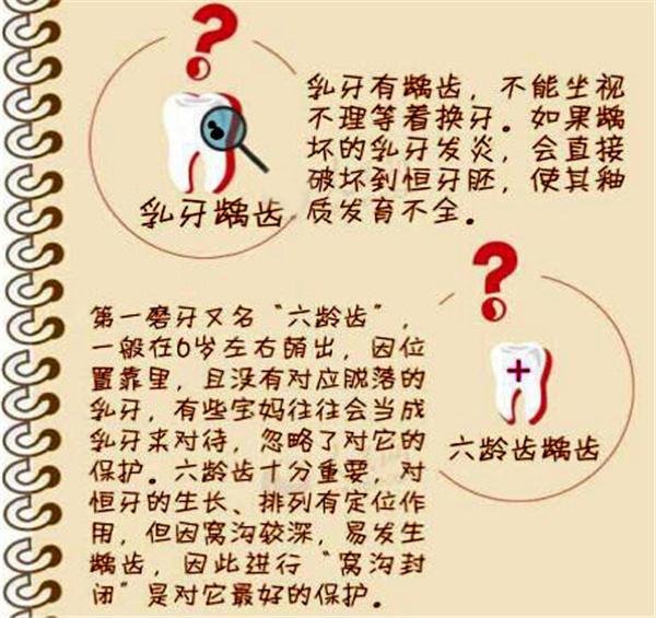 而家有换牙宝宝,妈妈们又需要做什么?需要注意什么呢?