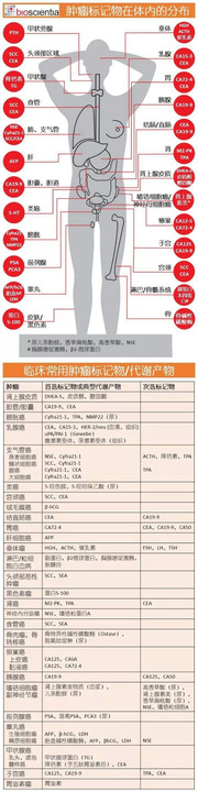 一图读懂"肿瘤标记物"