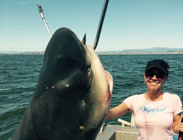 澳洲情侣捕获400斤公牛鲨 反被讽是
