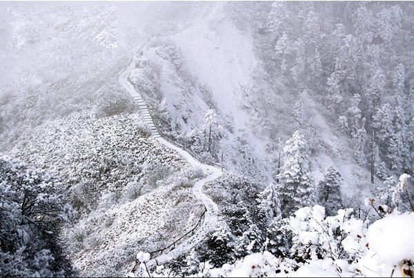 窗含西岭千秋雪:四川西岭雪山自助游攻略