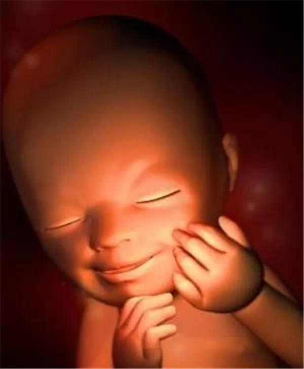 第二十一周:21周的宝宝眼睛开始转来转去了,但是眼睑依然是闭着的.