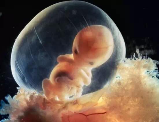 怀孕最初期,胚胎只有针尖般大小;出生时,胎儿—般约有七斤重,让我们