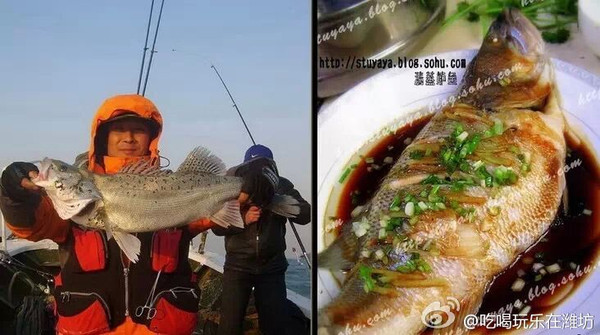 潍坊那有吃海鲜的地方_饶阳那有买旧货的地方_女人的秘密流水地方